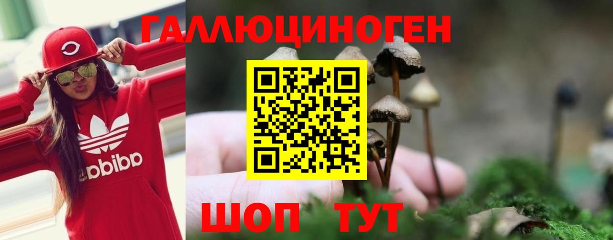 Галлюциногенные грибы прущие грибы Щёлково